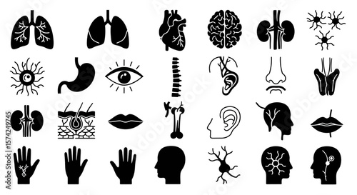 Collection of black and white silhouette icons representing human anatomy.