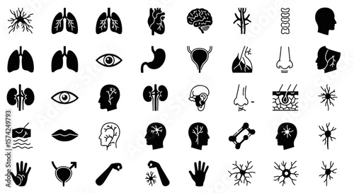 Collection of black and white human anatomy icons depicting various organs, body parts, and systems.