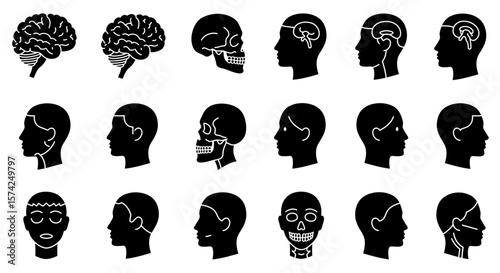 Black and white illustrations of human brains, skulls, and profiles.