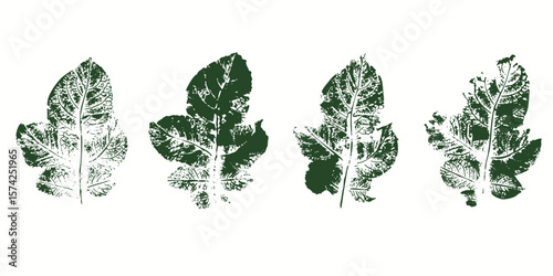 Natural potato leaves imprint, grunge style, vector, isolated, decorative elements for design	
