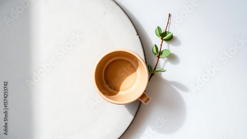3d a neatly arranged scene with an eucalyptus branch extending over a plain white plate and a coffee cup, emphasizing simplicity and elegance