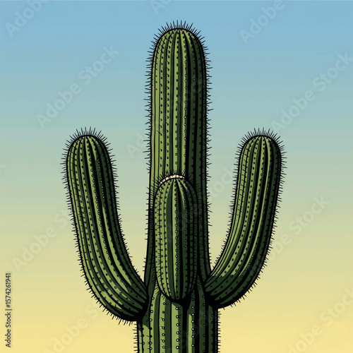 nature, graphic, design, drawing, cactus, illustration, flower, summer, floral, decoration, desert, print, hand, vector, garden, art, plant, sketch, tropical, exotic, cacti, pot, outline, houseplant,