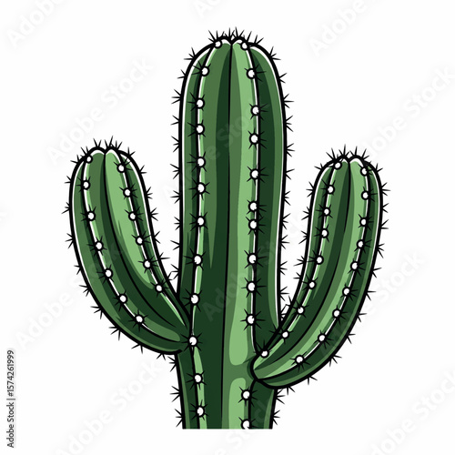 nature, graphic, design, drawing, cactus, illustration, flower, summer, floral, decoration, desert, print, hand, vector, garden, art, plant, sketch, tropical, exotic, cacti, pot, outline, houseplant,
