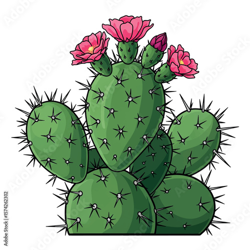 nature, graphic, design, drawing, cactus, illustration, flower, summer, floral, decoration, desert, print, hand, vector, garden, art, plant, sketch, tropical, exotic, cacti, pot, outline, houseplant,