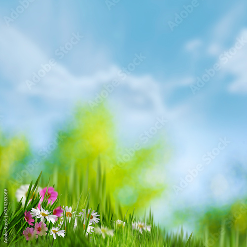 Peaceful background of wild grasses gently swaying in the wind on a sunny day.  Captures the calm atmosphere of rural life and summer stillness.