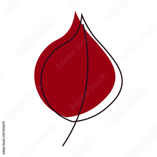 Poplar autumn leaf. stylized autumn leaf of poplar