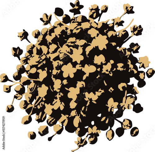 Brown and beige sichuan peppercorns pile closeup studio shot on black background silhouette