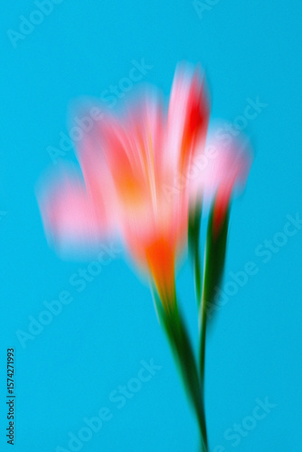 Dream Haze: Abstract Flower Poster