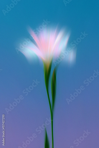 Dream Haze: Abstract Flower Poster