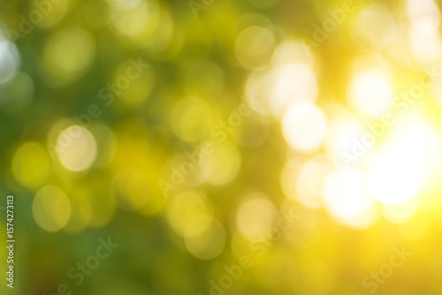 Sunlight filtering through green leaves creates a warm, natural bokeh effect. A soft, summery background with gentle light spots and a tranquil atmosphere.
