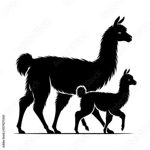 Silhouette of a mother llama and her baby walking together