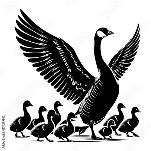 Majestic canada goose spreads wings protecting adorable goslings in black and white