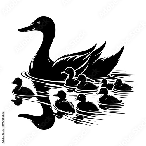 Mother duck and ducklings swimming in formation on white background