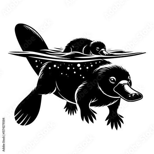 Mother and baby platypus swimming together in black and white