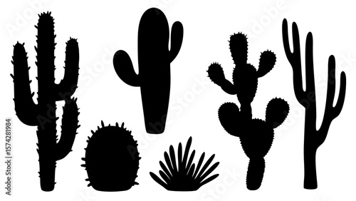 Set of cactus silhouette vector illustrations. Includes various cactus shapes in black on a white background. Ideal for desert, botanical, or nature-themed design projects.