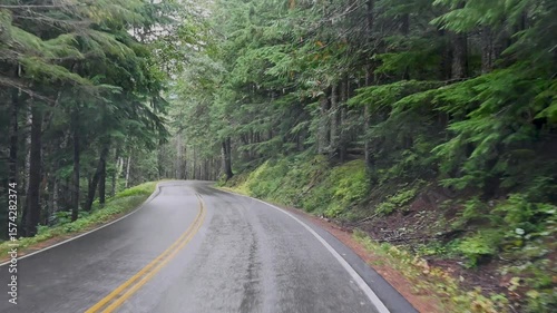 Scenic winding road through lush evergreen forest captured by drone, showcasing Pacific Northwest wilderness on a moody, overcast day