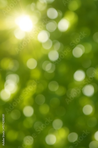Sunlight filtering through green leaves creates soft bokeh highlights and natural light spots, evoking a warm and peaceful summer atmosphere.