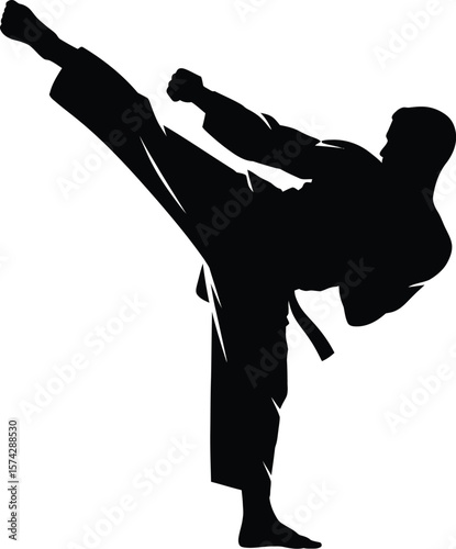 Black silhouette of martial artist performing a high kick