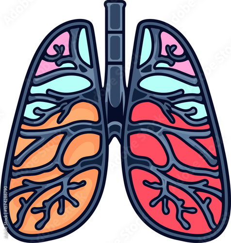 Lungs Anatomy: A Colorful Visual Representation of the Respiratory System