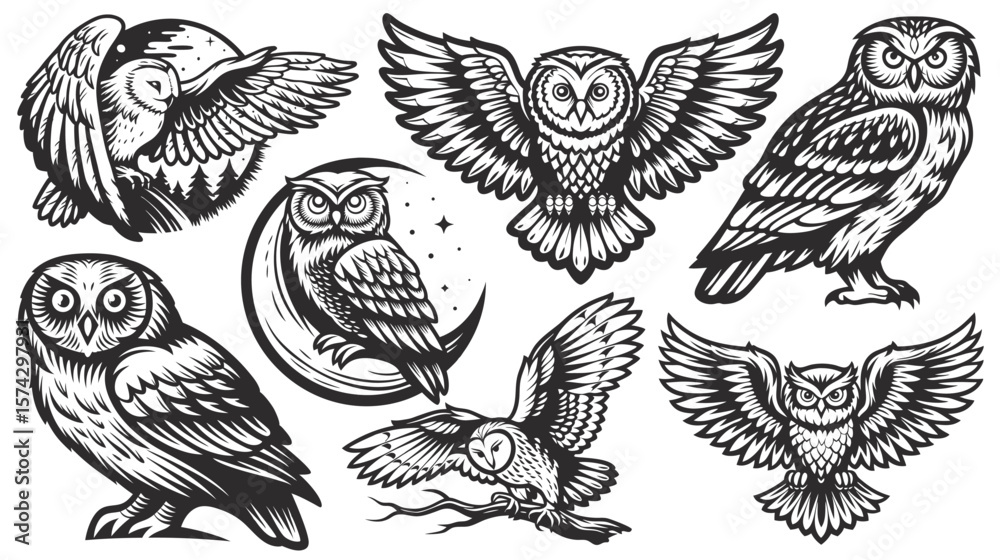 Obraz premium Set of owl clipart images featuring various poses, including owls perched on branches, in flight, and with outstretched wings, offering diverse design elements for creative projects