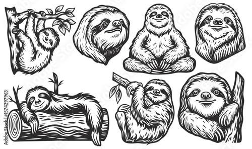 Vintage style illustration featuring sloths in various poses, including hanging from branches, resting on logs, meditating, and holding leaves, all with detailed linework