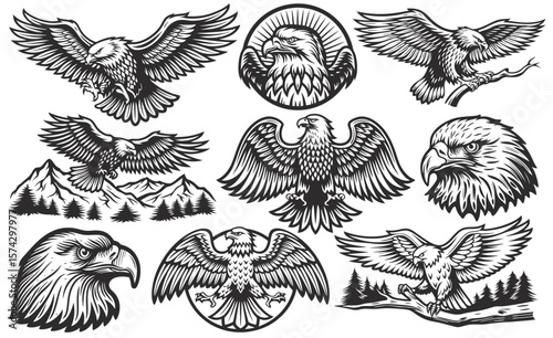 Vintage monochrome set of various eagles flying and perching on branch and mountain with forest in different situations like landing, hunting, and posing