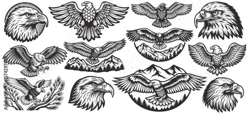 Vintage monochrome set of various eagles flying and perching on branch and mountain with forest in different situations like landing, hunting, and posing
