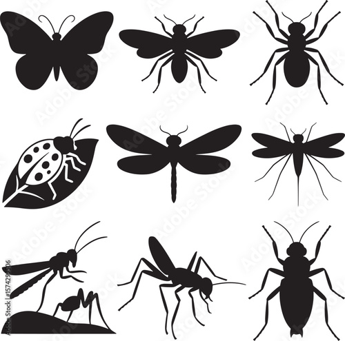 Butterfly bee ant ladybug dragonfly mosquito grasshopper beetle vector