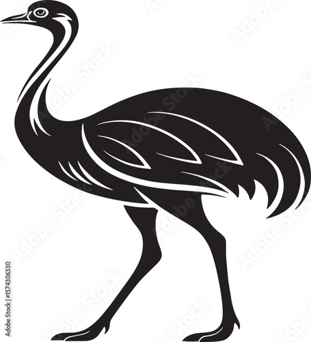Black ostrich standing profile bird white