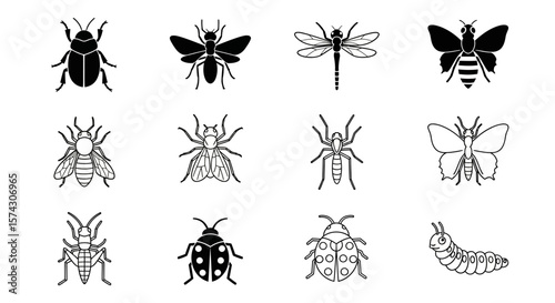 Insect Icons Collection: A set of twelve meticulously crafted insect icons, featuring beetles, bees, dragonflies, butterflies, and more. Perfect for educational materials or nature-themed designs.