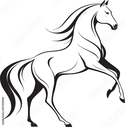 Elegant black horse rearing up white