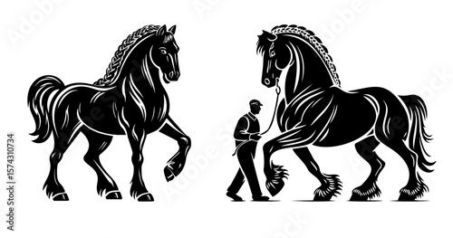Two Percheron Horses with Braided Manes (One Led by Handler