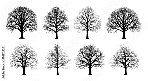 A collection of eight bare tree silhouettes are displayed against a white background, each with unique branching patterns and shapes, perfect for design elements.