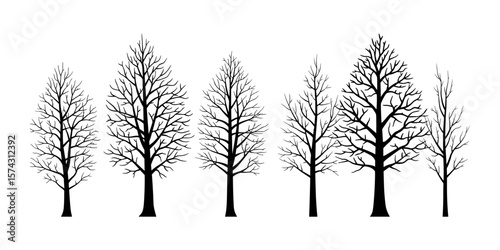 A collection of bare deciduous trees in silhouette against a white background, representing winter or dormancy.