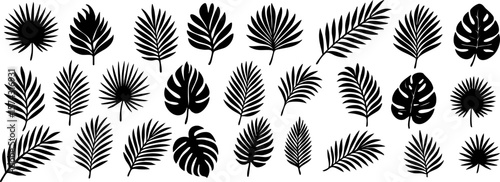 Set of black tropical leaf silhouettes including palm, monstera, and fern shapes. Minimal vector style perfect for summer, botanical, or boho-themed designs. Vector EPS 10