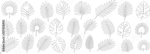 Set of outline tropical leaves including palm, monstera, and fern shapes. Thin black contour style ideal for coloring pages, design templates, or botanical projects. Vector EPS 10