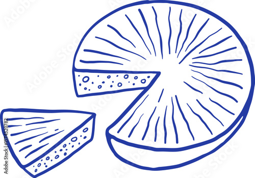 Hand draw whole cheese and slice vector illustration. Natural dairy product. Doodle sketch style