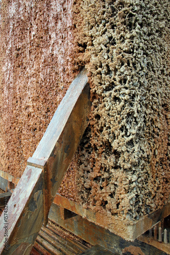 reisig im gradierwerk