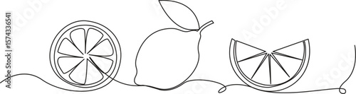 Lemon continuous one line drawing set isolated on transparent background. Horizontal banner. Outline lemon citrus collections. Editable stroke. Vector illustration