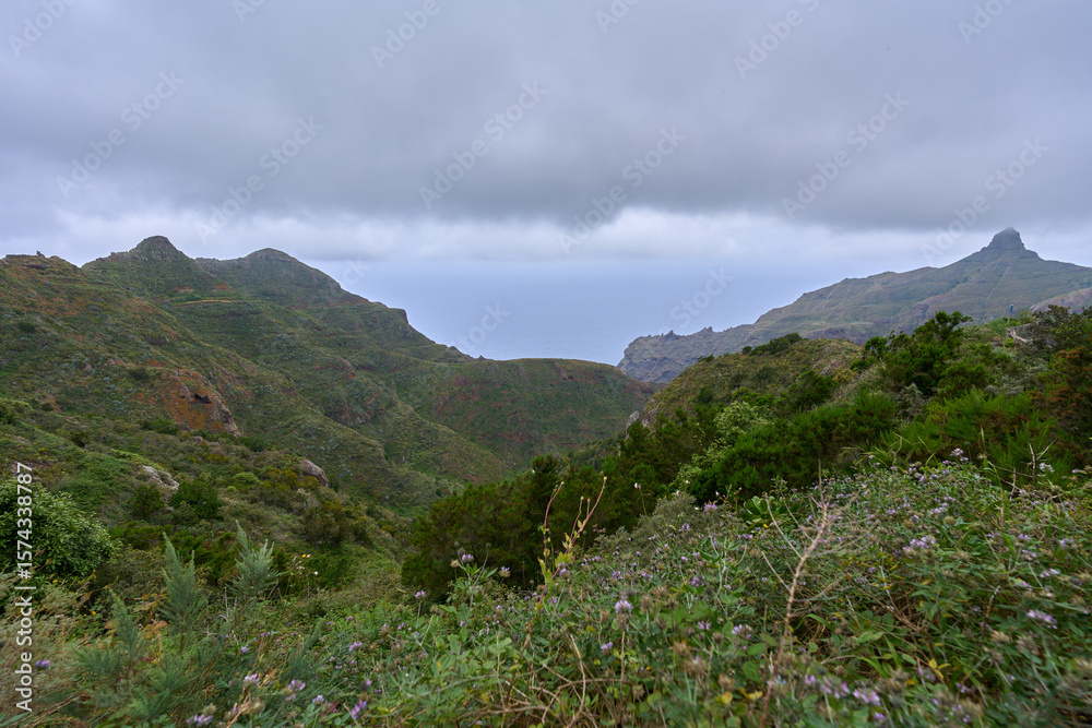Fototapeta premium Coastal ridges and ocean view