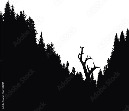Silhouette forest scene with dead tree trees black and white