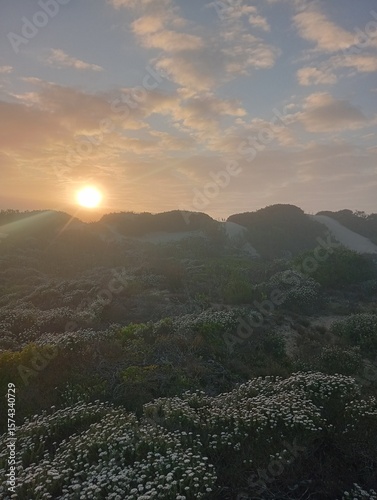 sunset sunrise over the dunes with fynbos