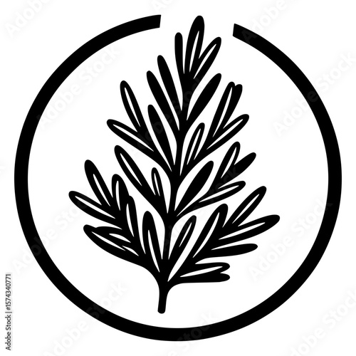 Rosemary branch line art icon in black and white, minimalist medicinal plant drawing for natural cosmetics, herbal remedy design, and eco packaging