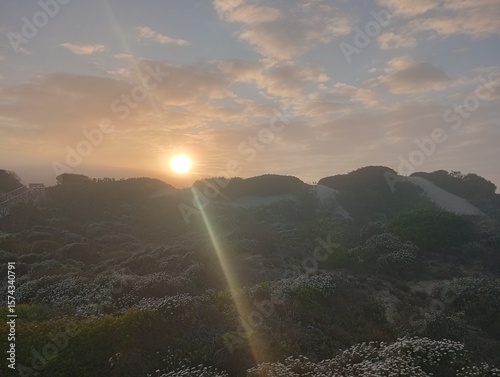sunrise over fynbos