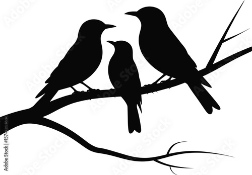 Three birds perched on a branch silhouette nature