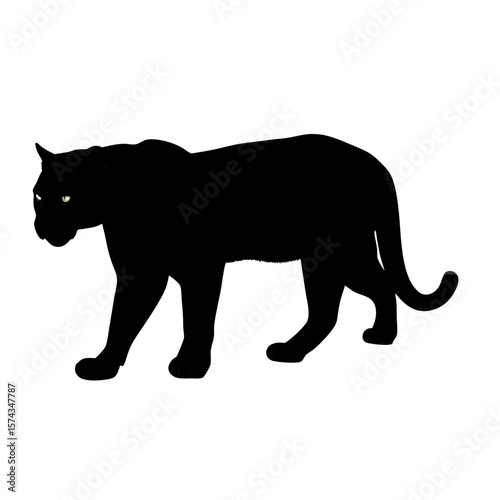 black panther vector