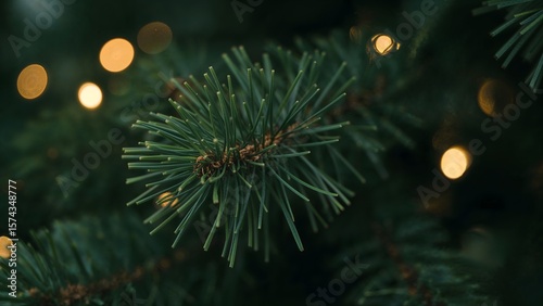 Close-Up of Artificial Pine Branch with Warm Fairy Light