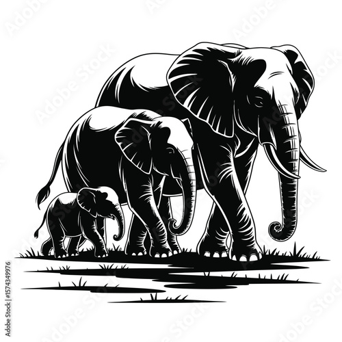 Black and white vector illustration of an elephant family walking peacefully across grassy plains with soft shadows and bold graphic contrast