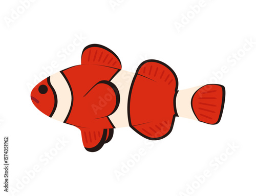 熱帯魚　クマノミ　赤白　海の魚　イラスト