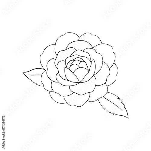 Loose watercolor style pink peony with bleeding edge petals Line Art Vector Illustration
